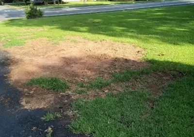 Dependable Pavement Company