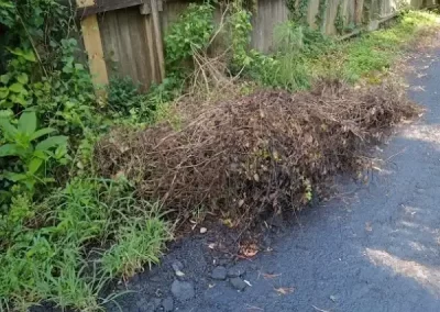 Excellent Pavement Contractors