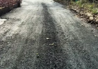 Professional Paver