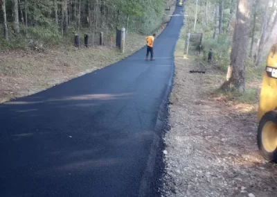 Professional Paver
