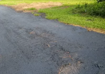 Professional Paver